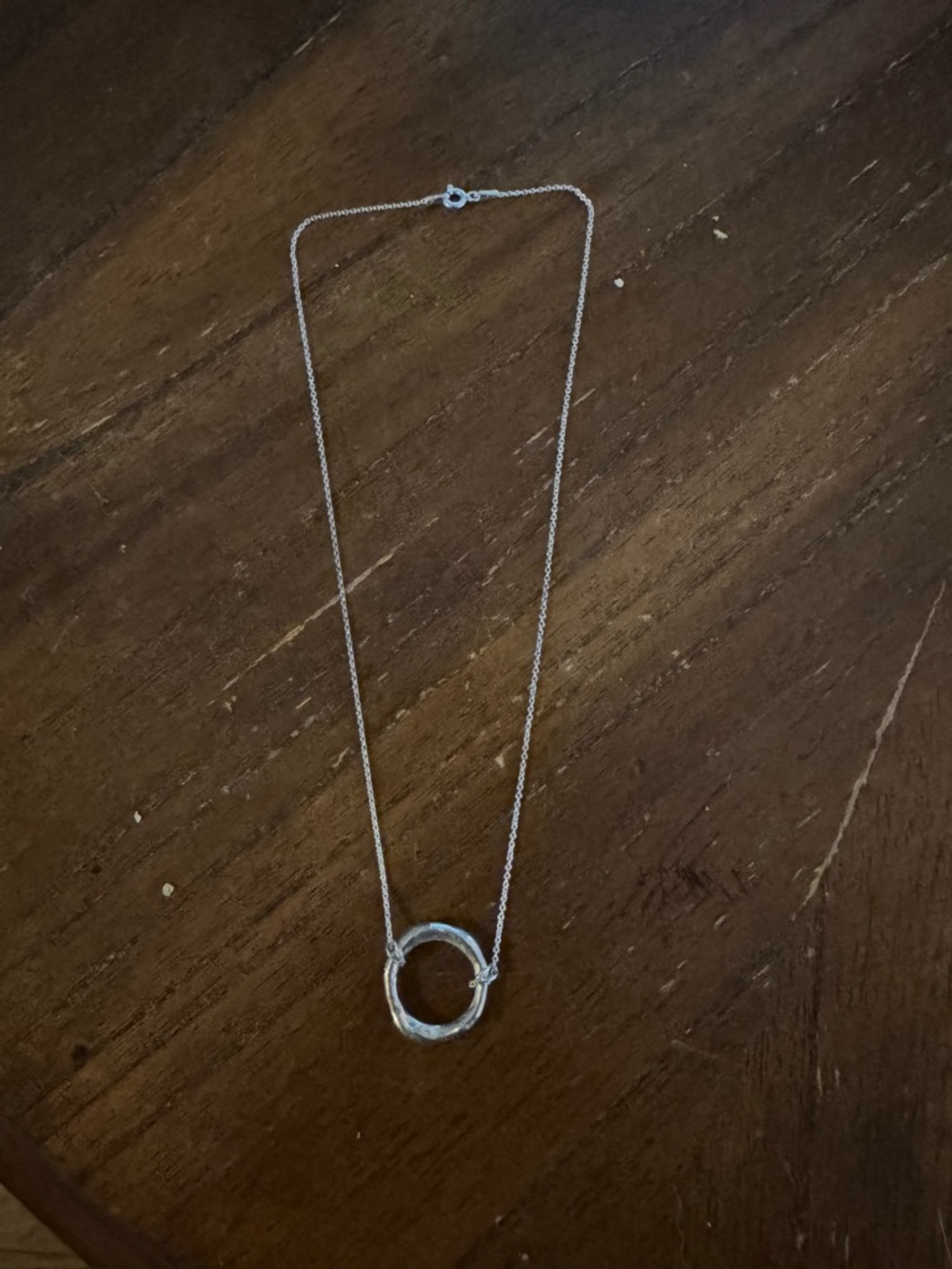 Silver Circle Pendant Necklace - Women Jewelry